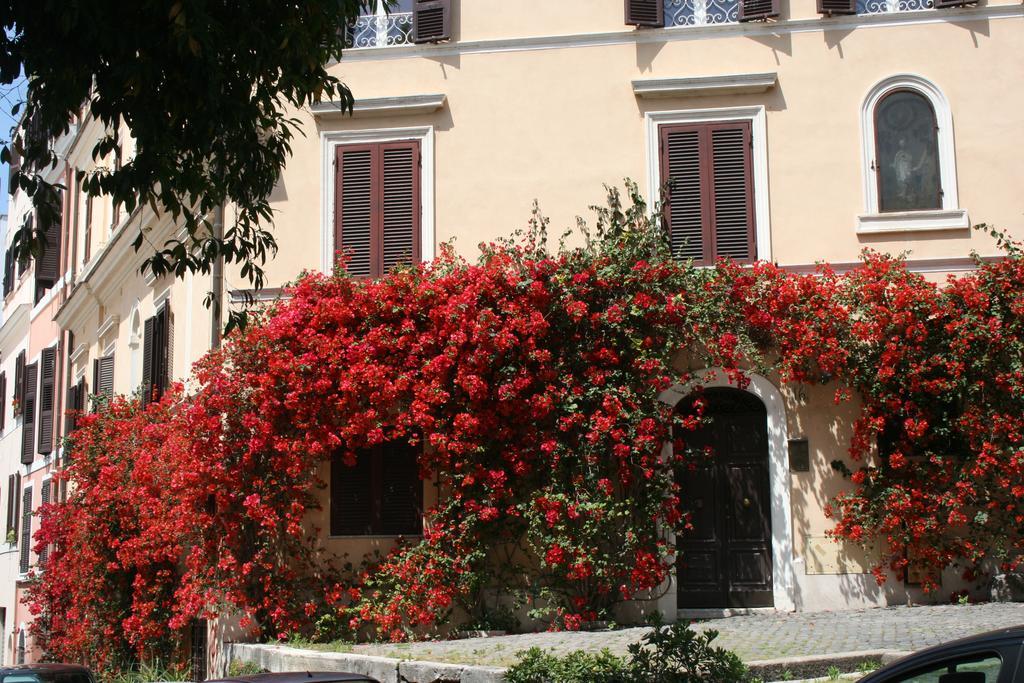 Stella's In Monti Apartamento *